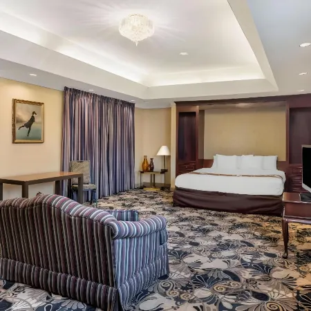 Quality Inn & Suites Garden of the Gulf