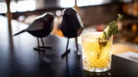 voco Gent by IHG - bar