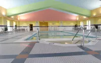 Crowne Plaza SPRINGFIELD - CONVENTION CTR by IHG - Pools