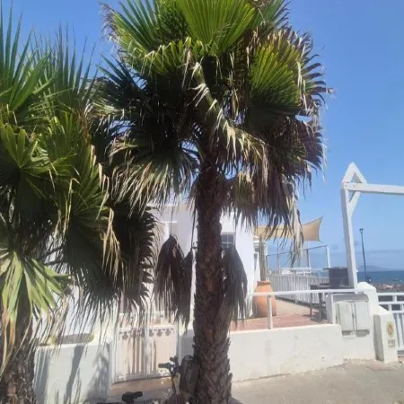Mision Costa