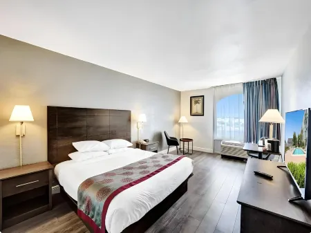 Plaza Hotel Fort Lauderdale