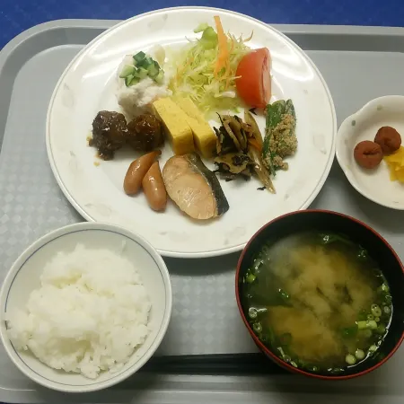 Kakegawa Station Hotel