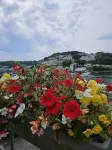 Fieldhead Hotel - Ocean View