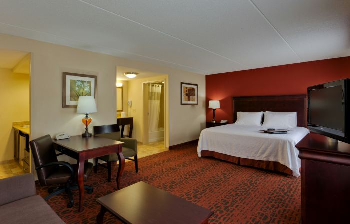 Hampton Inn Rochester-Webster