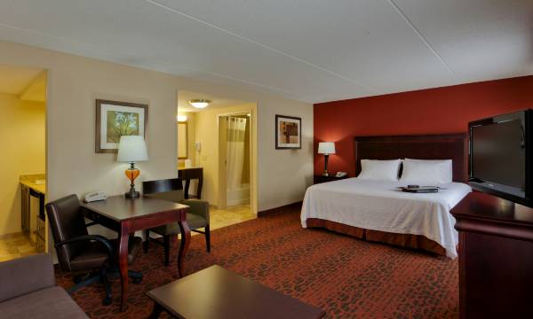 Hampton Inn Rochester-Webster