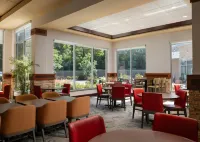 Hilton Garden Inn Ann Arbor - 3-Star