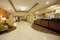 希爾頓歡朋套房酒店-納什維爾士麥那 - 2星級