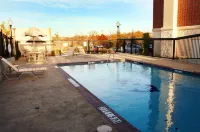 Hampton Inn Dallas-Rockwall - Pool
