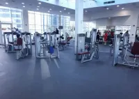 히드라의 블룸필즈 이그제큐티브 스튜디오 - 2성급