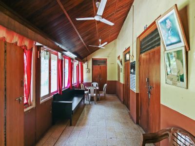 Public Areas Wild Flower Photo