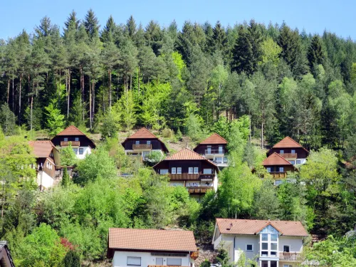 Sonnenschein Hotels in Hornberg