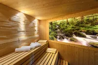 Hotel Grüner Wald - Spa