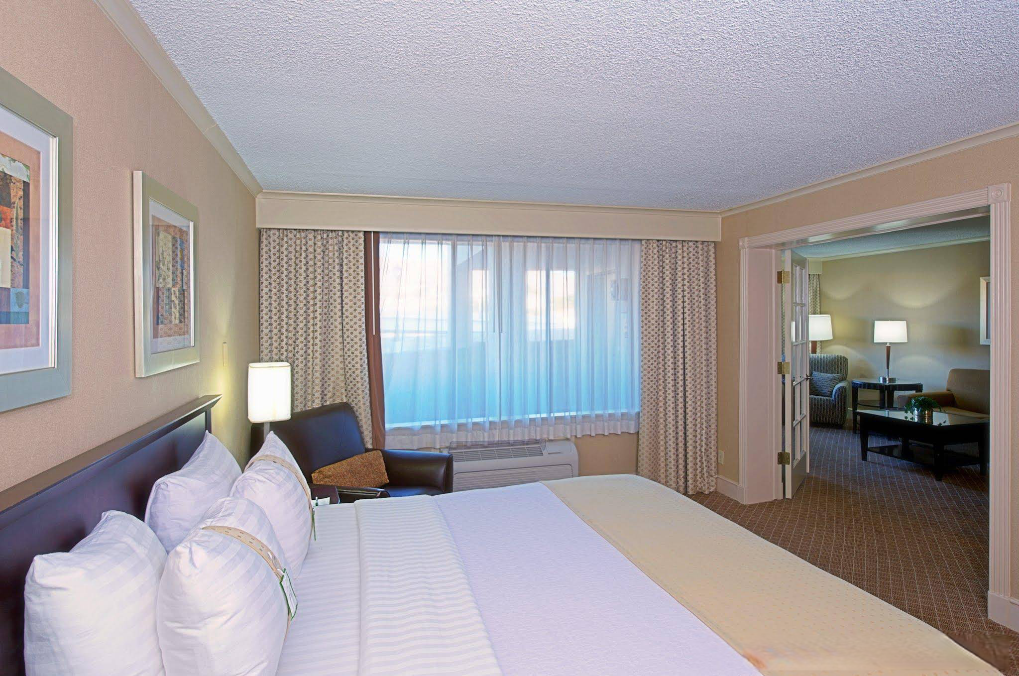 Holiday Inn El Paso West - Sunland Park, an Ihg Hotel