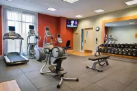 Hilton Garden Inn Phoenix Airport North - Gym