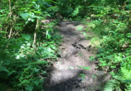 Mt Baker Lodging's Cabin #1 - with Wifi, Hot Tub, Pet Friendly