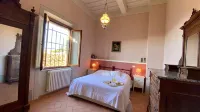 Un percorso di relax e storia tra vigneti e ulivi