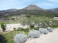 Lucije Hotel dekat Zlatni Rat Beach