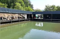 Pyeongchang Ohphi Pension (Pool)