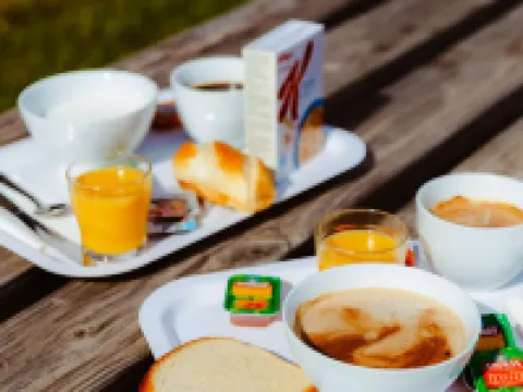 Premiere Classe Nevers - Varennes Vauzelles Hotels in Nievre