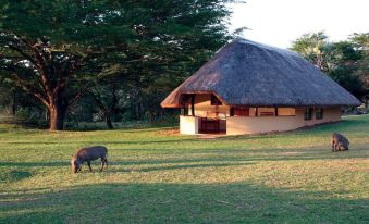 Bonamanzi Game Reserve