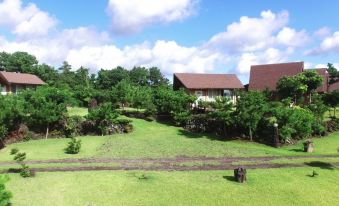 Jeju Bille Log Pension