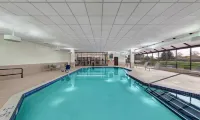 Embassy Suites by Hilton Milwaukee Brookfield - Pool