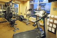 Holiday Inn Express & Suites BRAMPTON by IHG - Gym