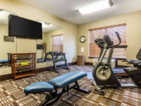 コンフォート イン & スイーツ ボールパーク エリア スマーナのホテル