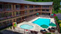 Wild Bear Inn - piscina