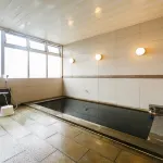 Tokyo Bayplaza Hotel Hotels in Kisarazu