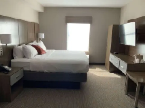 Wingate by Wyndham Jackson/Ridgeland Hotels in Ridgeland