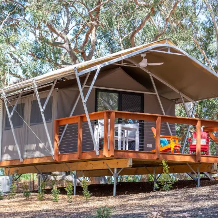 Port Stephens Koala Sanctuary