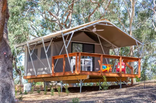 Port Stephens Koala Sanctuary - Strand