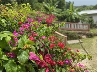 YanceyLargoEstate 2Br Villa w/Mountain Views by RedAwning