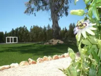 Casas da Lupa - Villas