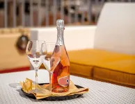 奧爾比亞全景飯店 - 酒吧