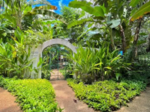 錫基霍爾島椰樹林海灘度假村 聖胡安酒店