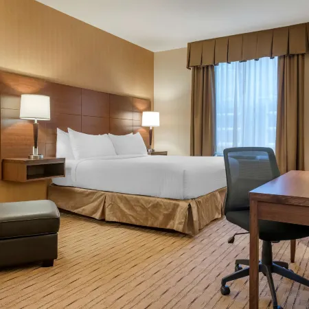 Best Western Plus Bathurst Hotel  Suites