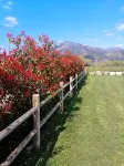 L'Airone Country House Hotel a Sant'Elia Fiumerapido