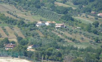 Agriturismo Il Vecchio Carro