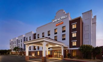 SpringHill Suites San Antonio Downtown/Riverwalk Area