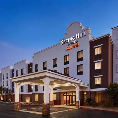 SpringHill Suites San Antonio Downtown/Riverwalk Area Отели рядом с достопримечательностью «Хемисфейр Парк»