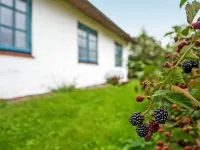 "Clausina" - 600m from the Sea Hotels in Bredebro