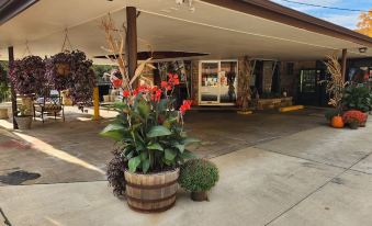 a potted plant with red flowers is placed under a covered patio area , providing shade and beauty to the area at Jefferson Hills Motel