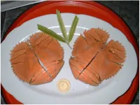 Ibusuki Minshuku Sennarisou