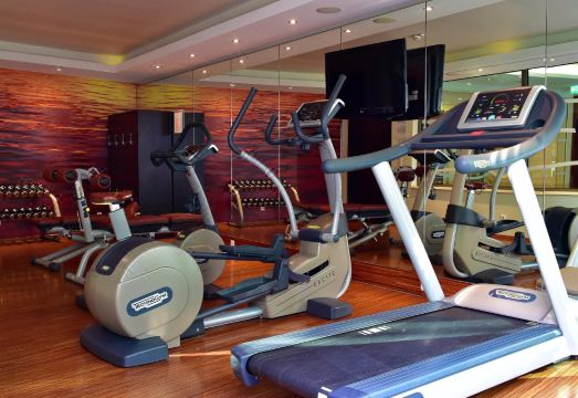 페스타나 베를린 티에르가르텐