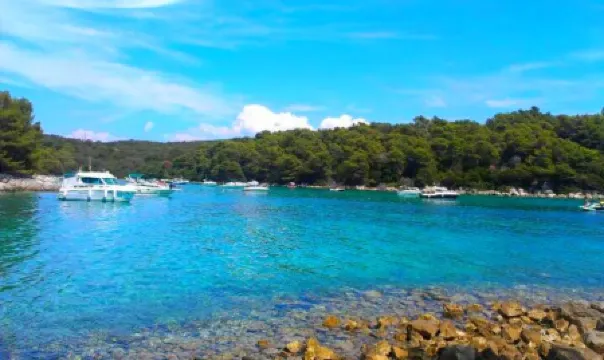 Apartment Forest& Beach Relax