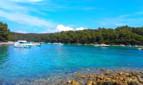 Apartment Forest& Beach Relax Hotels in Kampor