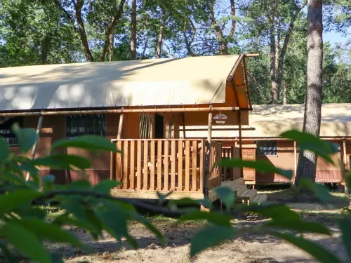 Lodgetent 2 فنادق في هوينديرلو