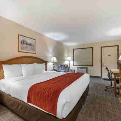 SureStay Plus Hotel by Best Western Buffalo Rooms